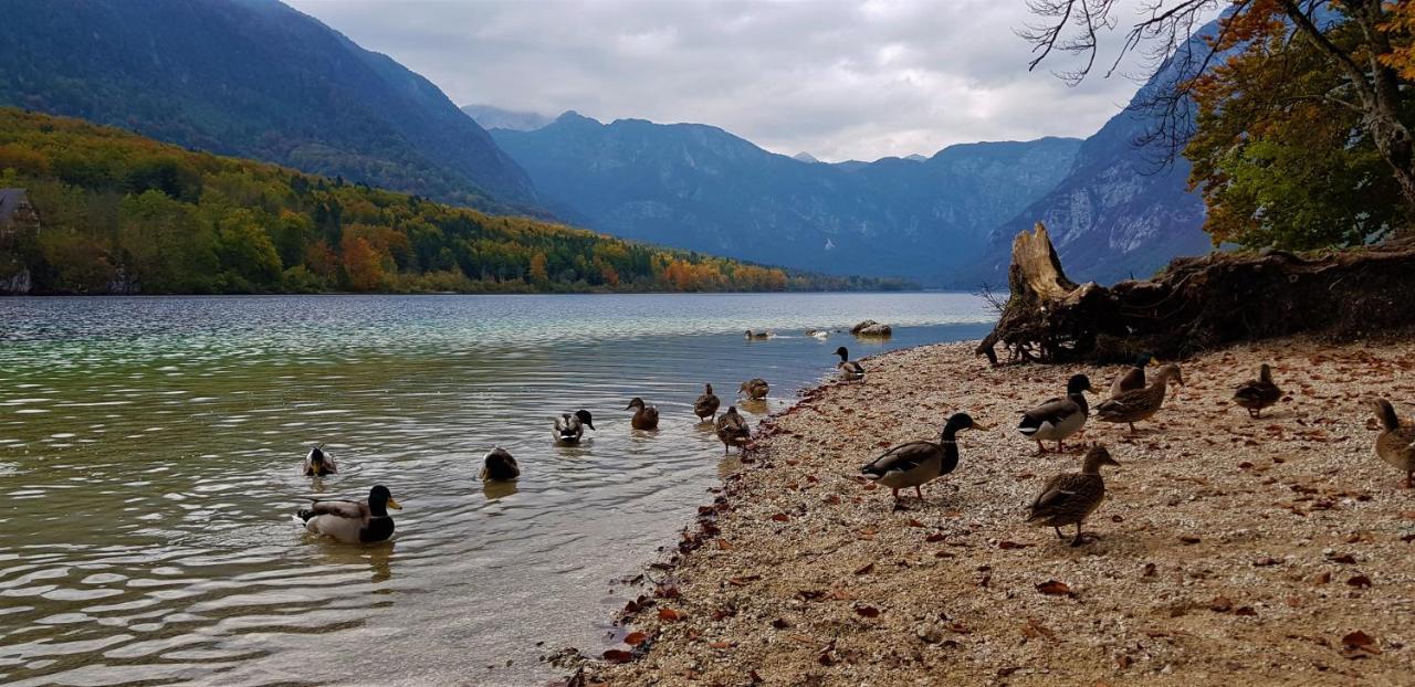 7 Lakes Apartment Bohinj Esterno foto