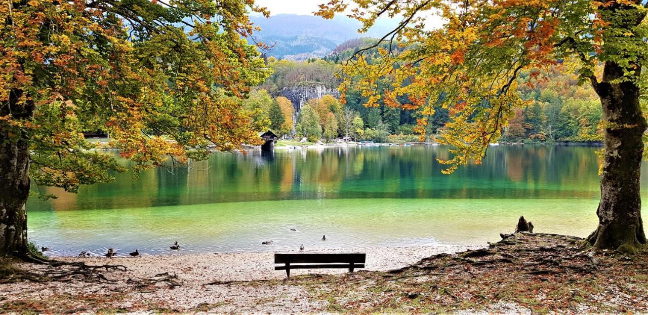 7 Lakes Apartment Bohinj Esterno foto
