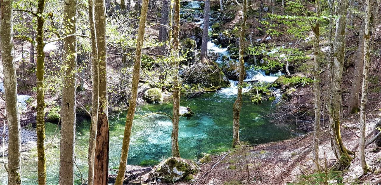 7 Lakes Apartment Bohinj Esterno foto